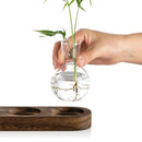 GobekUsa Hydroponic Glass Vase with Wooden Tray