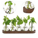 GobekUsa Hydroponic Glass Vase with Wooden Tray