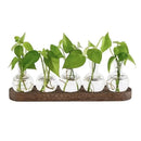 GobekUsa Hydroponic Glass Vase with Wooden Tray