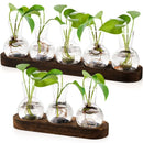 GobekUsa Hydroponic Glass Vase with Wooden Tray