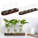 GobekUsa Hydroponic Glass Vase with Wooden Tray