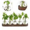 Modern hydroponic glass vases with wooden tray living room decor by Decorbites