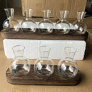 Modern hydroponic glass vases with wooden tray living room decor by Decorbites