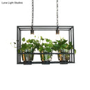 GobekUsa Industrial Iron Island Lamp with 3 Pendant Lights and Glass Plant Pot