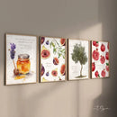 Botanical watercolor islamic art posters set kitchen wall decor by Decorbites