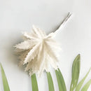 Decorbites ivory flower cherry stamen berries wedding decor living room by Decorbites