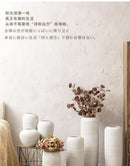 GobekUsa Japanese Minimalist Hydroponic Vase Set