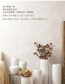 GobekUsa Japanese Minimalist Hydroponic Vase Set