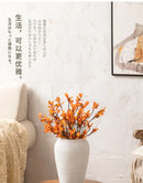 GobekUsa Japanese Minimalist Hydroponic Vase Set