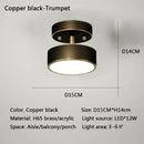 GobekUsa LED Ceiling Light for Bedroom and Living Room
