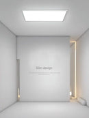 GobekUsa LED Ceiling Lights for Home Deco - Minimalist Modern Lighting Fixture