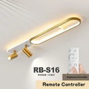 GobekUsa LED Ceiling Lights: Modern Chandeliers for Living Room, Bedroom, Aisle, and Corridor.