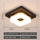GobekUsa LED Ceiling Lights: Modern Shade for Home & Living Room Lighting