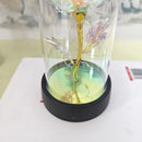 Set of 3 golden eternal rose light glass domes bedroom decor by Decorbites
