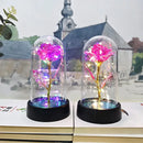 Set of 3 golden eternal rose light glass domes bedroom decor by Decorbites
