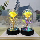 Set of 3 golden eternal rose light glass domes bedroom decor by Decorbites