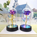 Set of 3 golden eternal rose light glass domes bedroom decor by Decorbites