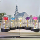 Set of 3 golden eternal rose light glass domes bedroom decor by Decorbites