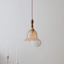GobekUsa LED Glass Wood Pendant Lights | Modern Nordic Style Hanging Lamp for Home Décor