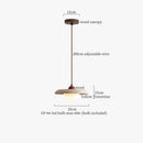 GobekUsa LED Hanging Lamp for Kitchen Cafe Living Room Pendant Lighting