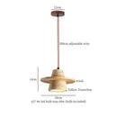 GobekUsa LED Hanging Lamp for Kitchen Cafe Living Room Pendant Lighting