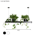 GobekUsa LED Island Light Fixture: Rectangular Loft Black/White Acrylic Plant Ceiling Pendant - Warm/White Light