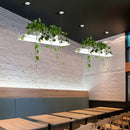 GobekUsa LED Island Light Fixture: Rectangular Loft Black/White Acrylic Plant Ceiling Pendant - Warm/White Light