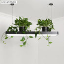 GobekUsa LED Island Light Fixture: Rectangular Loft Black/White Acrylic Plant Ceiling Pendant - Warm/White Light