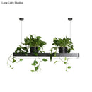 GobekUsa LED Island Light Fixture: Rectangular Loft Black/White Acrylic Plant Ceiling Pendant - Warm/White Light