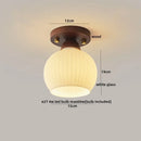 GobekUsa LED Modern Ceiling Light for Living Room Balcony, Nordic Style Indoor Lighting Fixtures