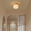 GobekUsa LED Modern Ceiling Light for Living Room Balcony, Nordic Style Indoor Lighting Fixtures