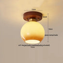 GobekUsa LED Modern Ceiling Light for Living Room Balcony, Nordic Style Indoor Lighting Fixtures