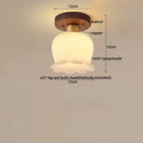 GobekUsa LED Modern Ceiling Light for Living Room Balcony, Nordic Style Indoor Lighting Fixtures
