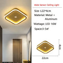 GobekUsa LED Motion Sensor Ceiling Lamp for Home - Indoor Lighting Fixtures