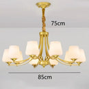GobekUsa LED Pendant Light Chandeliers for Modern Living and Dining Room Lighting