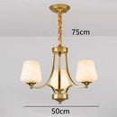 GobekUsa LED Pendant Light Chandeliers for Modern Living and Dining Room Lighting
