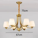 GobekUsa LED Pendant Light Chandeliers for Modern Living and Dining Room Lighting