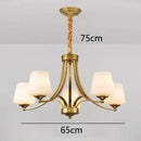 GobekUsa LED Pendant Light Chandeliers for Modern Living and Dining Room Lighting