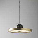GobekUsa LED Pendant Lights for Living Room Kitchen Bedroom Chandelier