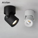 GobekUsa LED Spot Light COB Adjustable 180° Ceiling Downlight for Foyer Living Room