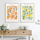 Vintage lemon flower botanical wall art set of 6 kitchen prints