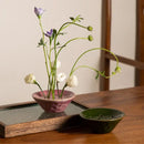 GobekUsa Lotus Root Clay Bowl Flower Vase Terrarium Home Decor