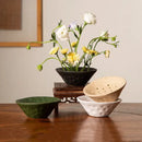 GobekUsa Lotus Root Clay Bowl Flower Vase Terrarium Home Decor