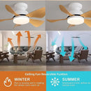 GobekUsa Low Floor DC Motor Ceiling Fan with Remote Control, 32W, Modern Black White, 220V 110V