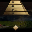 GobekUsa Luxurious Silk Bedding Set with Sheets