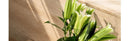 GobekUsa Luxury Stainless Steel Vase for Home Decor