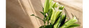 GobekUsa Luxury Stainless Steel Vase for Home Decor by Decorbites