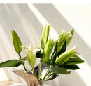 GobekUsa Luxury Stainless Steel Vase for Home Decor by Decorbites