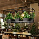 GobekUsa Metal 2-Head Rectangle Pendant Light Fixture for Restaurants with Hanging Artificial Bonsai