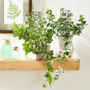 GobekUsa Metal Garden Plant Stand for Indoor and Outdoor Growth